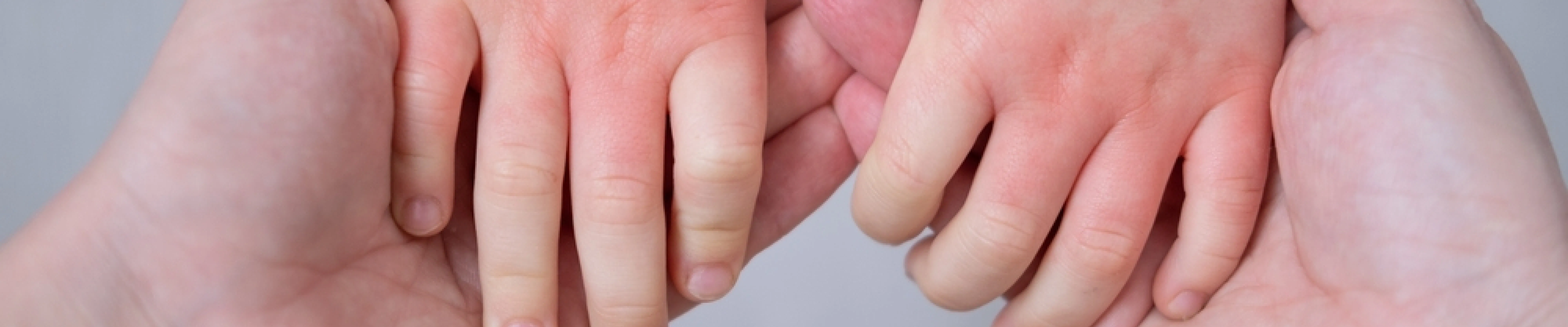 carpet cleaning in brooklyn, carpet cleaning in brooklyn, carpet cleaning brooklyn, carpet cleaners in brooklyn, carpet cleaners in brooklyn, commercial carpet cleaning, commercial carpet cleaning in brooklyn, brooklyn rug cleaners, rug cleaning services in brooklyn, same day carpet cleaning, same day rug cleaning