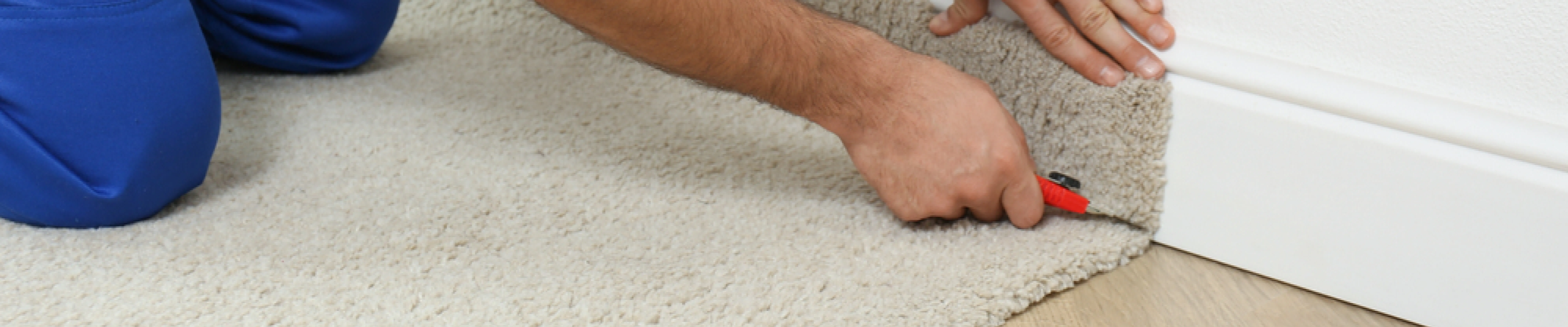 carpet cleaning in brooklyn, carpet cleaning in brooklyn, carpet cleaning brooklyn, carpet cleaners in brooklyn, carpet cleaners in brooklyn, commercial carpet cleaning, commercial carpet cleaning in brooklyn, brooklyn rug cleaners, rug cleaning services in brooklyn, same day carpet cleaning, same day rug cleaning